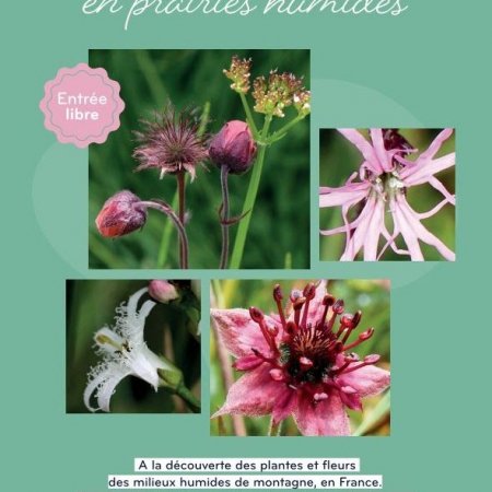 Expo photos " De mares en prairies humides" du 20 août au 13 septembre