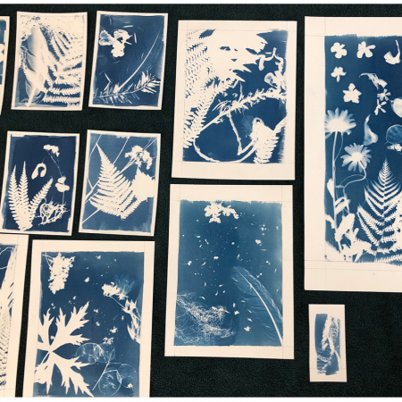 Journées rando-cyanotype